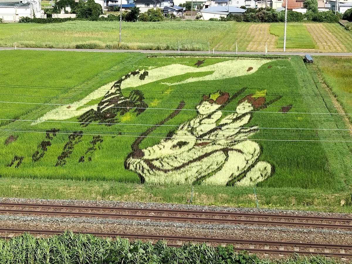 道之驛 石鳥谷（道の駅 石鳥谷） 實景照片 4