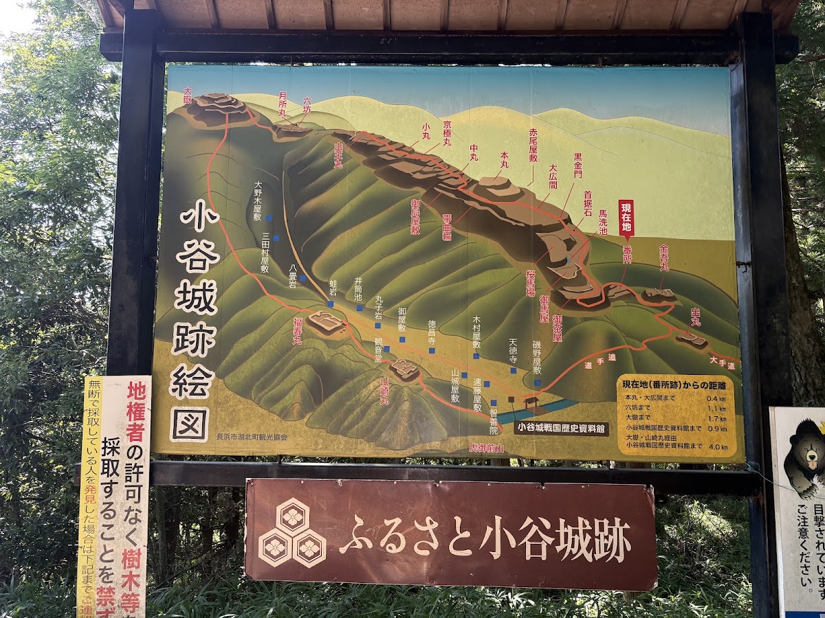 小谷城 實景照片 1