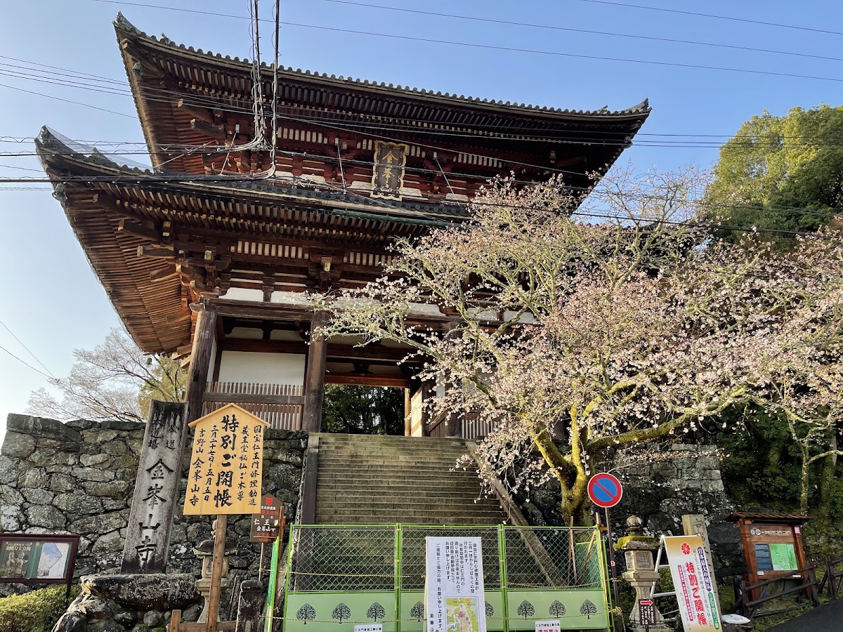 仁王門與櫻花樹大景