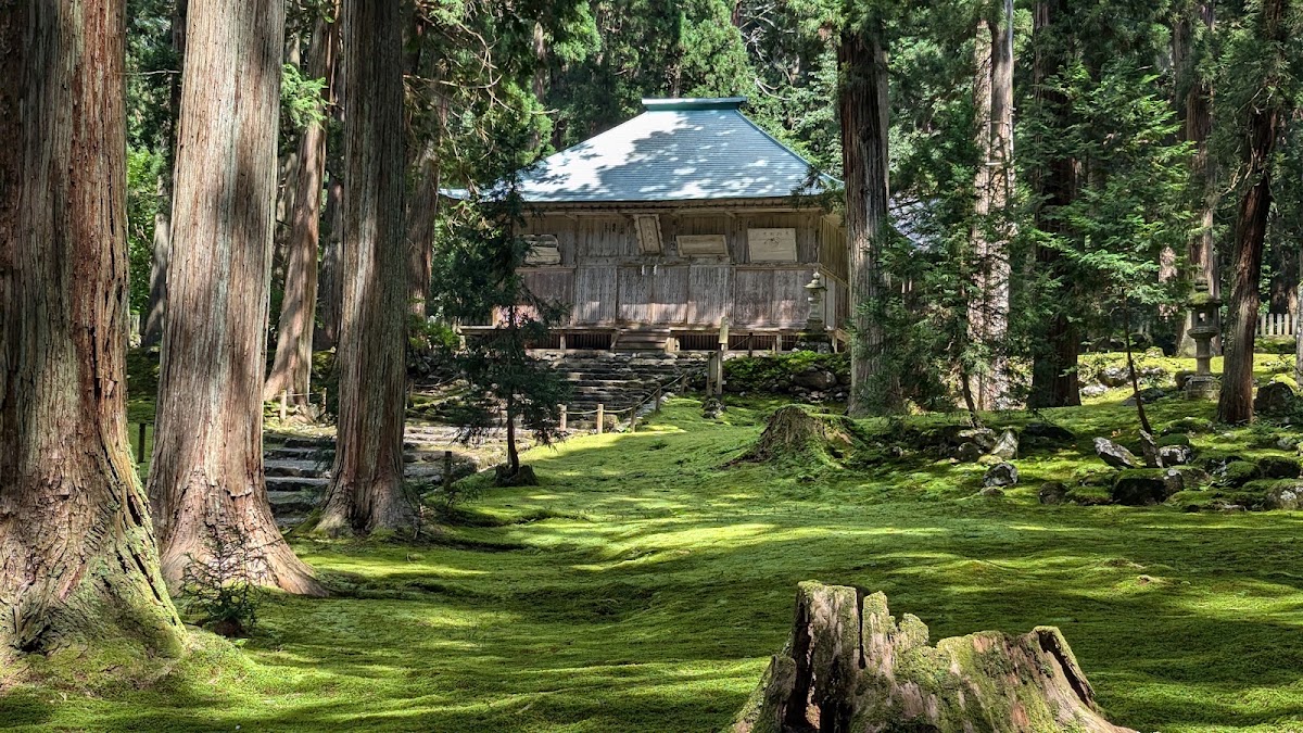 青苔庭園與神社本殿