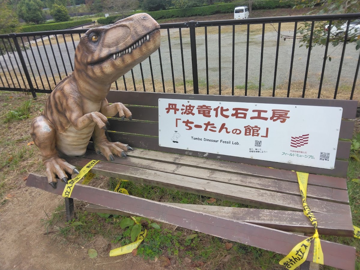 道之驛 丹波奶奶之里(道の駅 丹波おばあちゃんの里) 實景照片 7