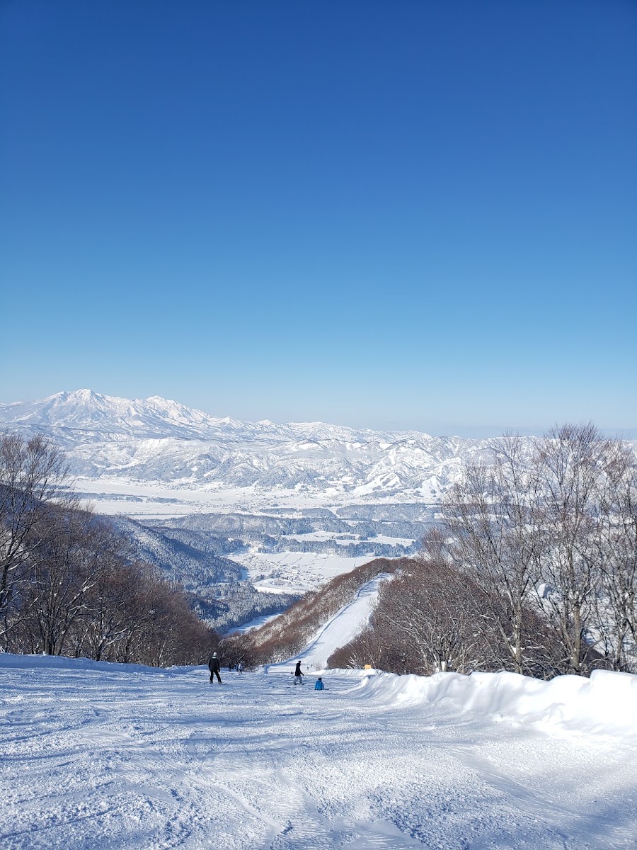 野澤溫泉滑雪場（野沢温泉スキー場） 實景照片 6