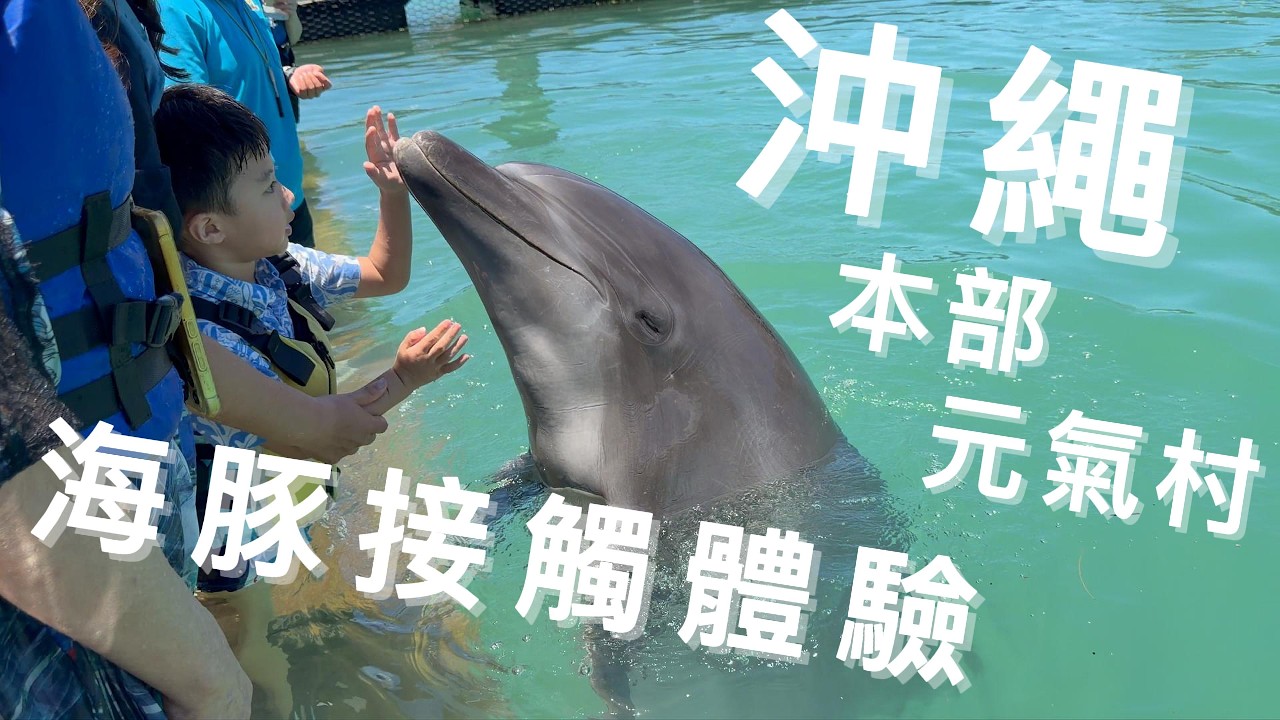 與海豚第一次的親密接觸！｜沖繩本部元氣村・海豚接觸體驗｜2026/06/22｜iPhone 17 Pro