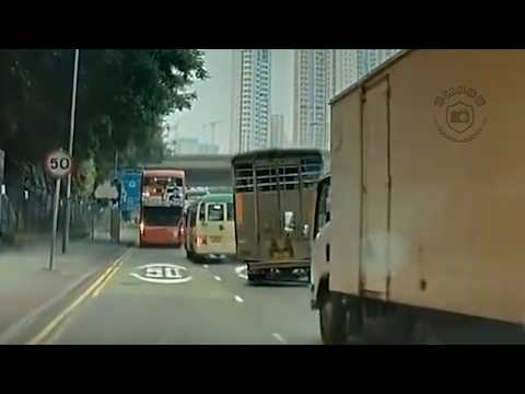 車CAM直擊 - CLS綠Van遇著狗衝運魚車