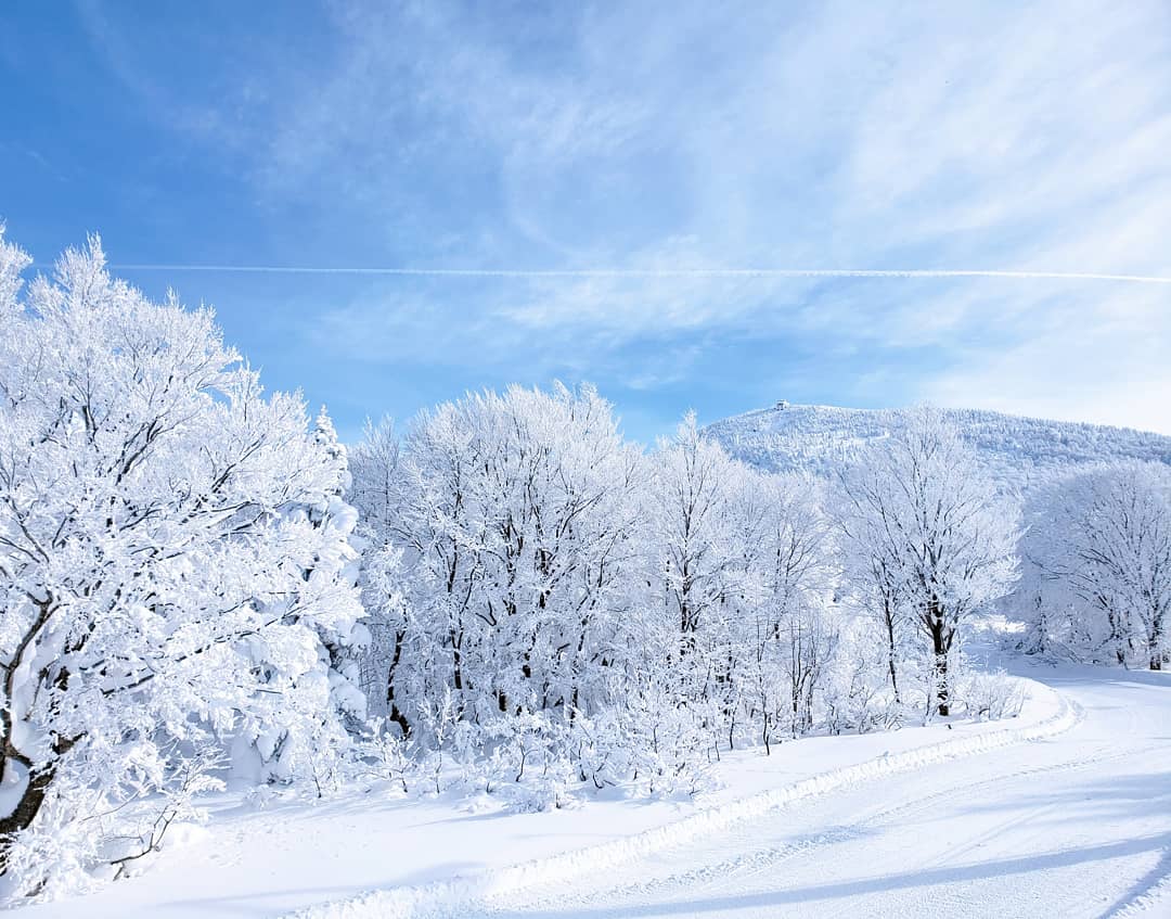 八甲田滑雪場(八甲田スキー場) 實景照片 2