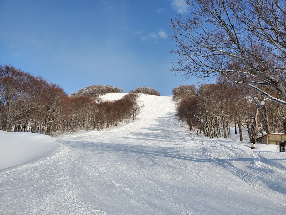 八甲田滑雪場(八甲田スキー場) 實景照片 6