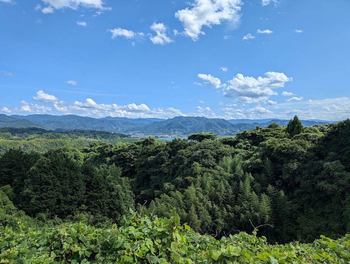 道之驛 羽合（道の駅 はわい） 實景照片 7