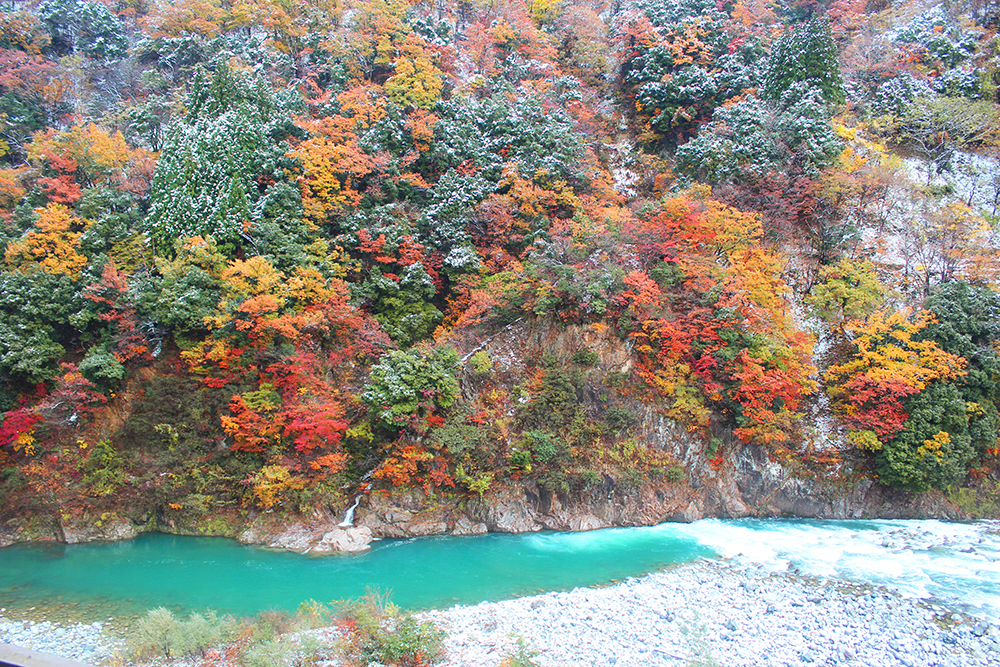 秋天紅葉與河流交織的山景