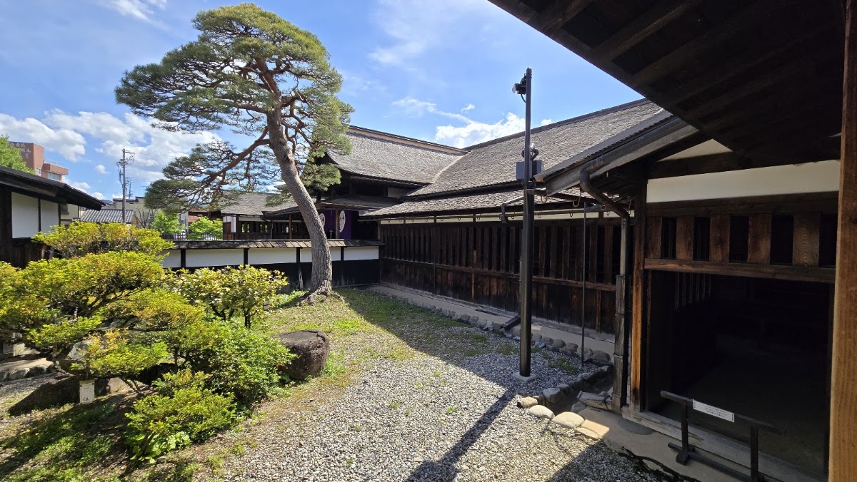 高山陣屋庭院與松樹景觀