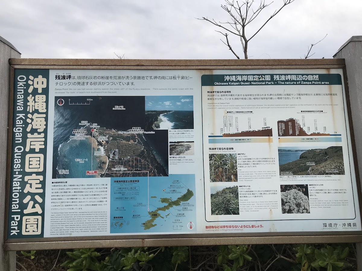 殘波岬(残波岬) 實景照片 5