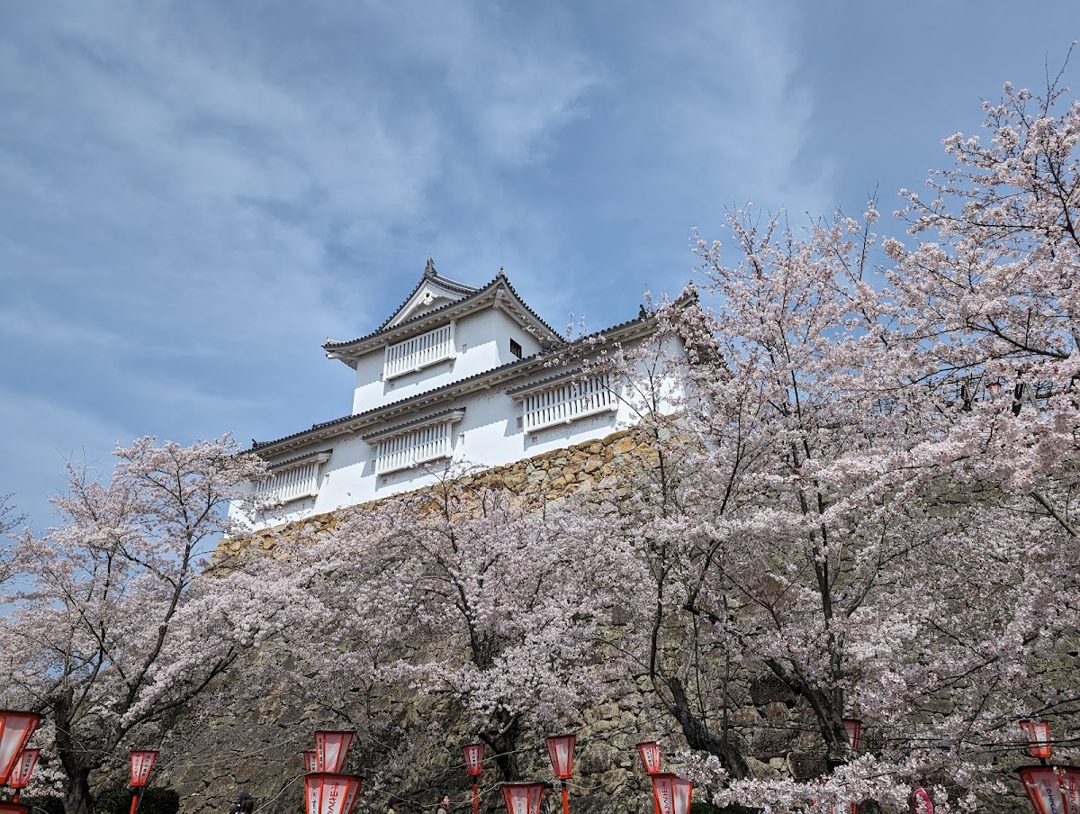 津山城 實景照片 7
