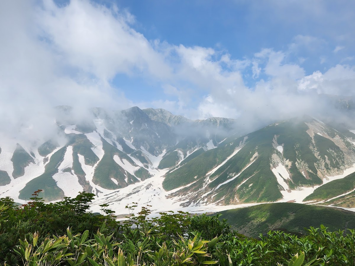 御庫裏池(みくりが池) 實景照片 7