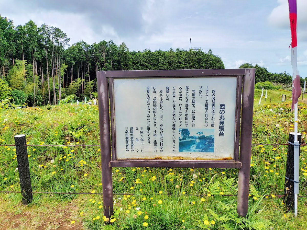 山中城 實景照片 3