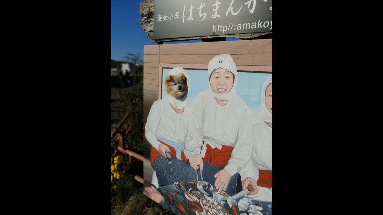 悅悅 日本關西寵遊篇: 伊勢志摩二見興玉神社夫婦岩, 朝熊山頂展望台, 海女小屋, 真珠島