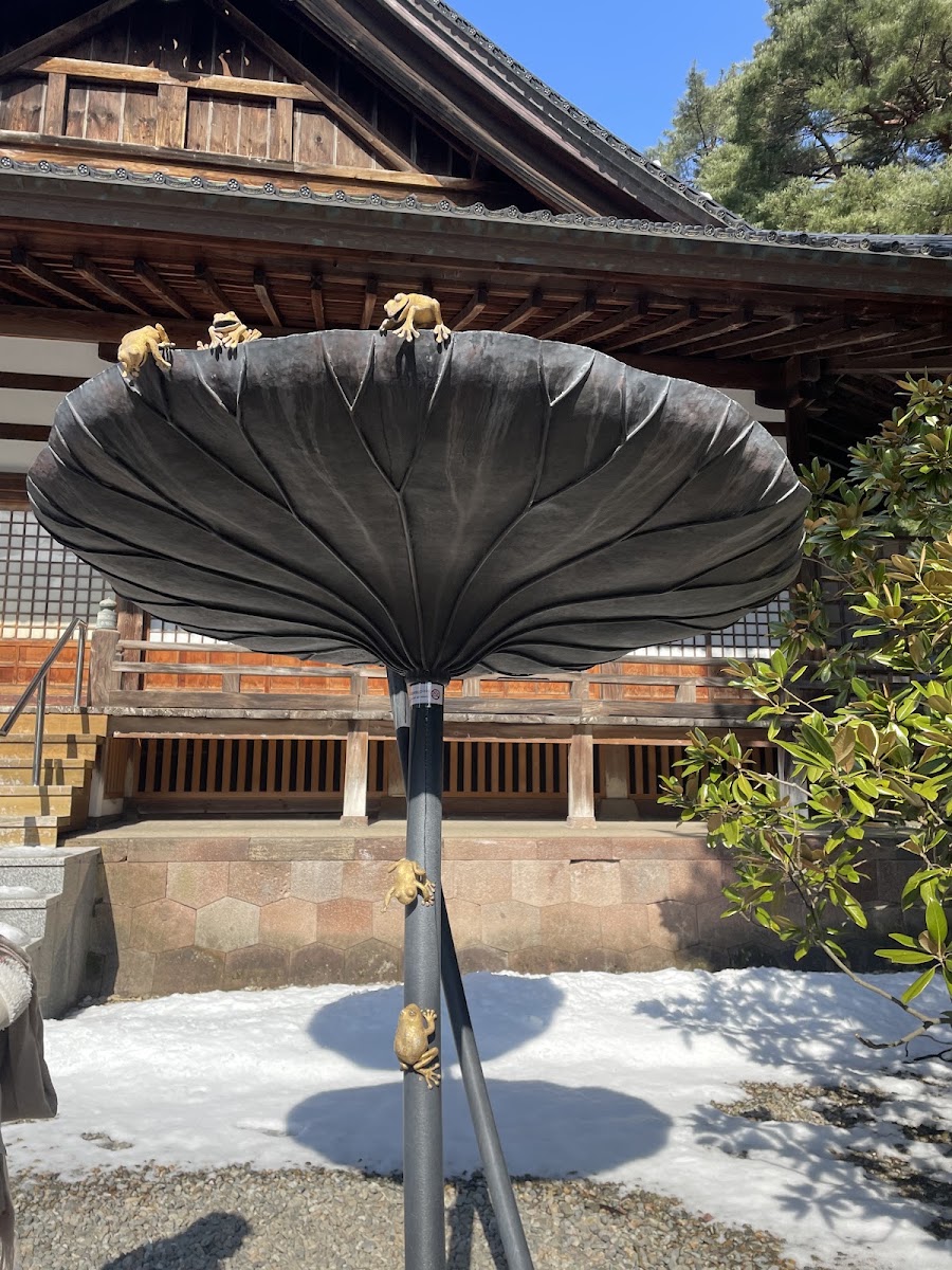 尾山神社 實景照片 7