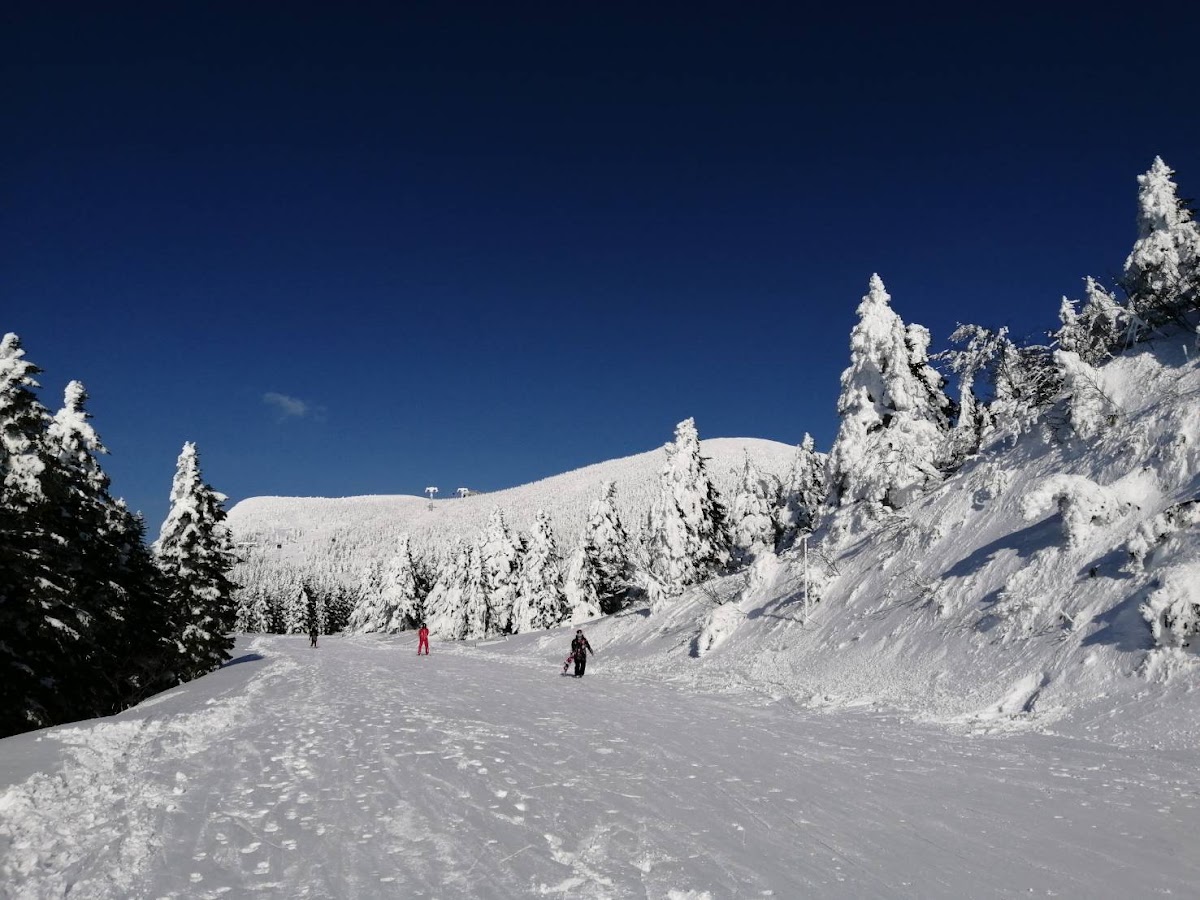 山形藏王溫泉滑雪場（山形蔵王温泉スキー場） 實景照片 6