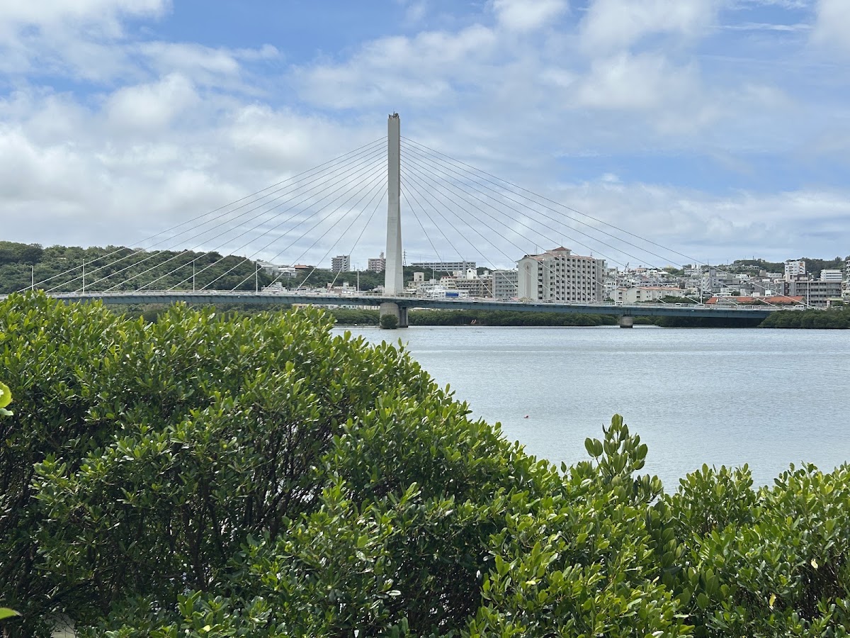 漫湖公園 實景照片 5