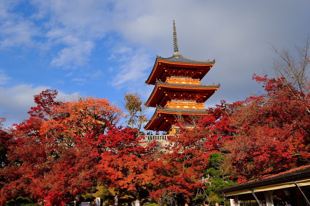 清水寺 實景照片 7